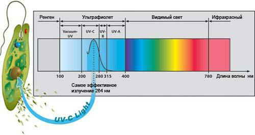 Illustrativ demonstration af bølgernes effektive rækkevidde.