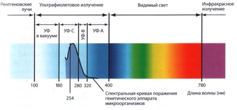 ultraviolet spektrum.