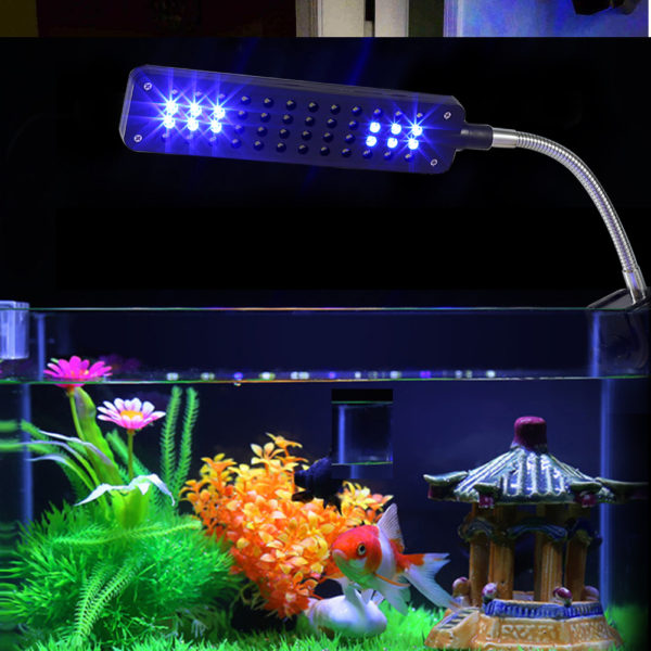 Sådan laver du LED-belysning i et akvarium